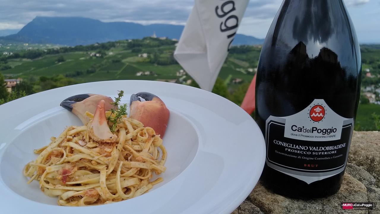 Villa Del Poggio Prosecco Bike Hotel San Pietro Di Feletto Dış mekan fotoğraf
